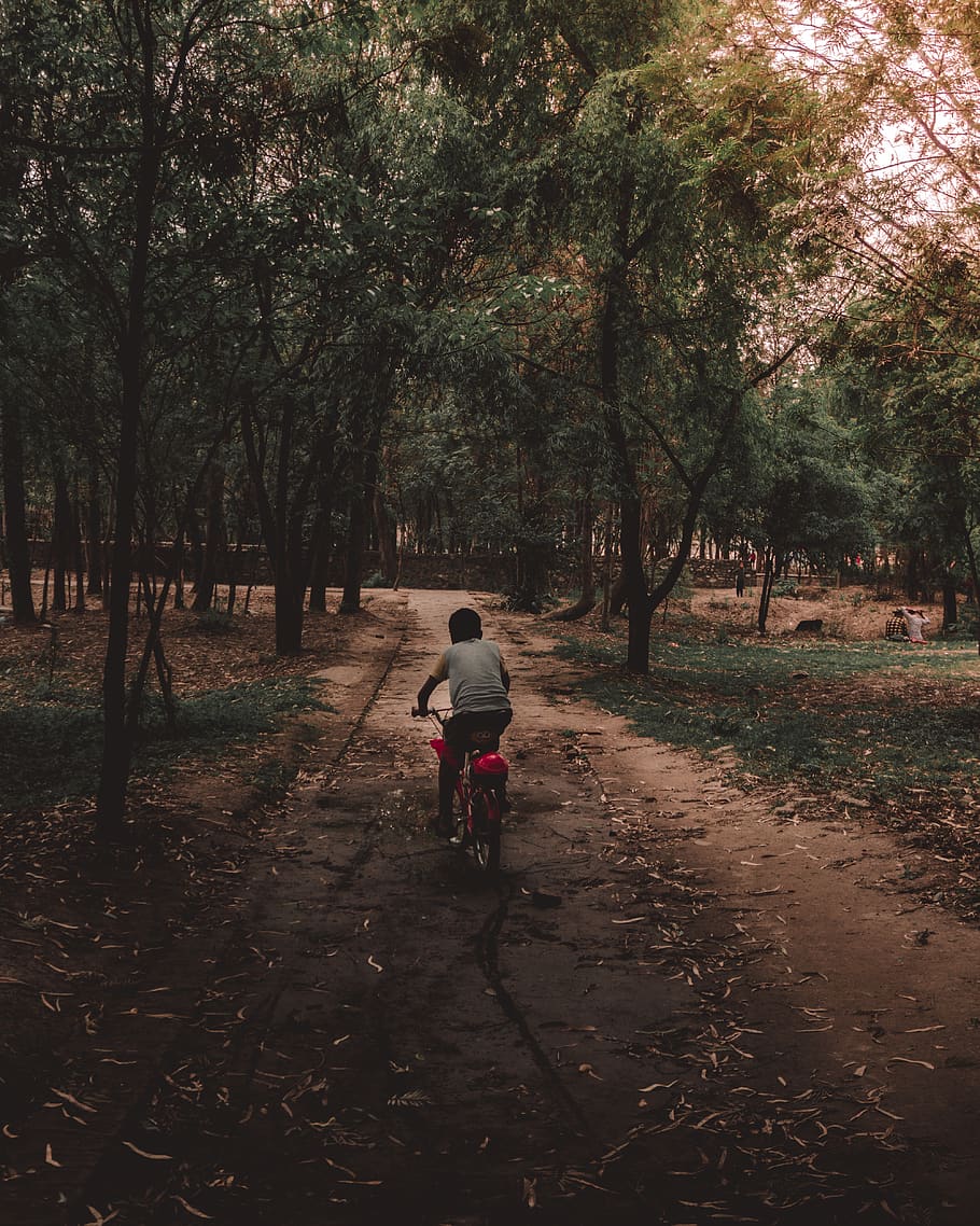 nepal, patan, un park, ride, baby, forest, way, cycle, cycling, HD wallpaper