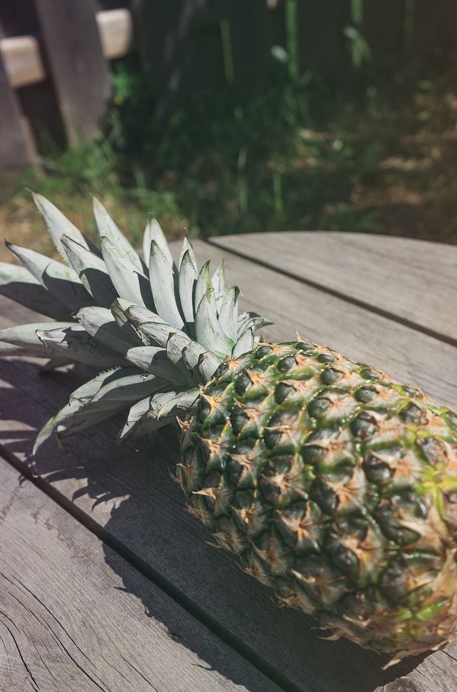 fence, grass, wood, table, food, fruit, pineapple, plant, close-up HD wallpaper