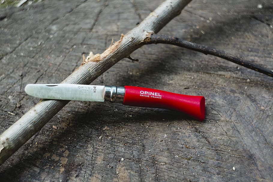 red Opinel knife, erlangen, germany, plant, birch, tree, flora HD wallpaper