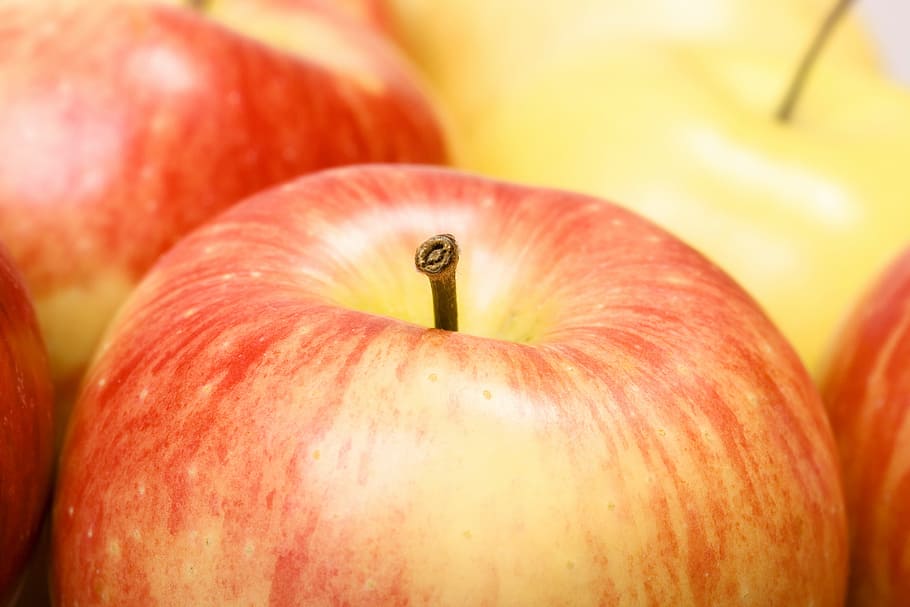 apple, color, delicious, eat, fresh, freshness, fruit, health HD wallpaper