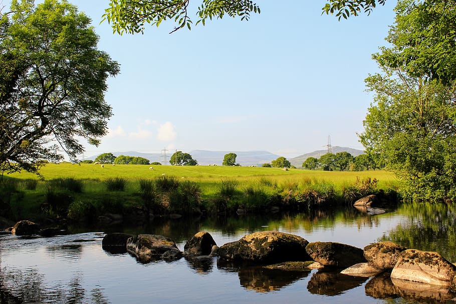 green, nature, river, water, plant, tree, sky, beauty in nature HD wallpaper