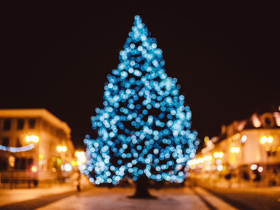christmas, tree, lights, decorations, festive, holidays, night HD wallpaper