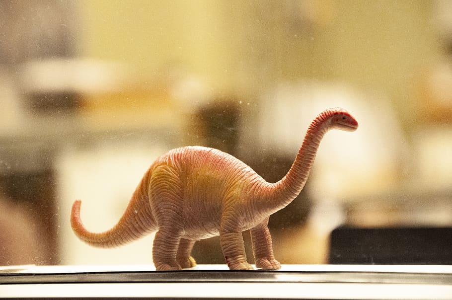 dinosaur toy on white desk, animal, nature, outdoors, blur, animals
