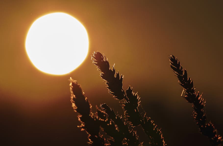 sun, atmosphere, twilight, sky, backlight, horizon, atmospheric HD wallpaper
