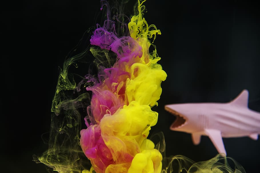 Pink and Yellow Ink Underwater Art Beside Shark Toy, acrylic HD wallpaper
