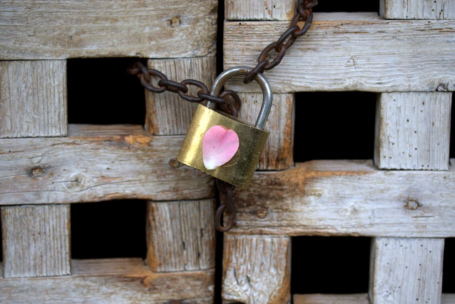 padlock, love, heart, locked, the metaphor, door, wood, wood - material HD wallpaper