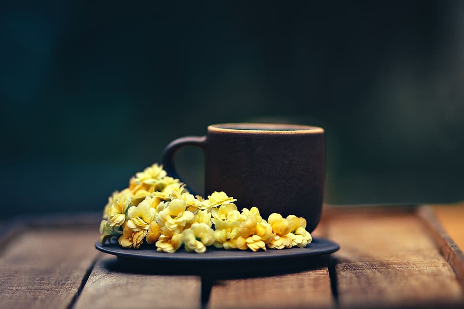 selective focus photography of yellow-petaled flowers beside black cup, HD wallpaper