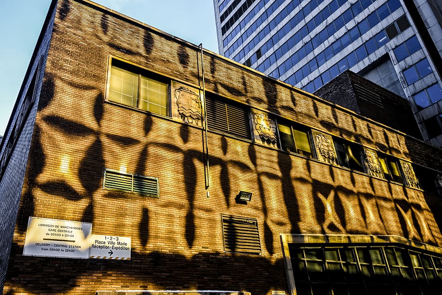 brown concrete building during daytime, home decor, office building HD wallpaper