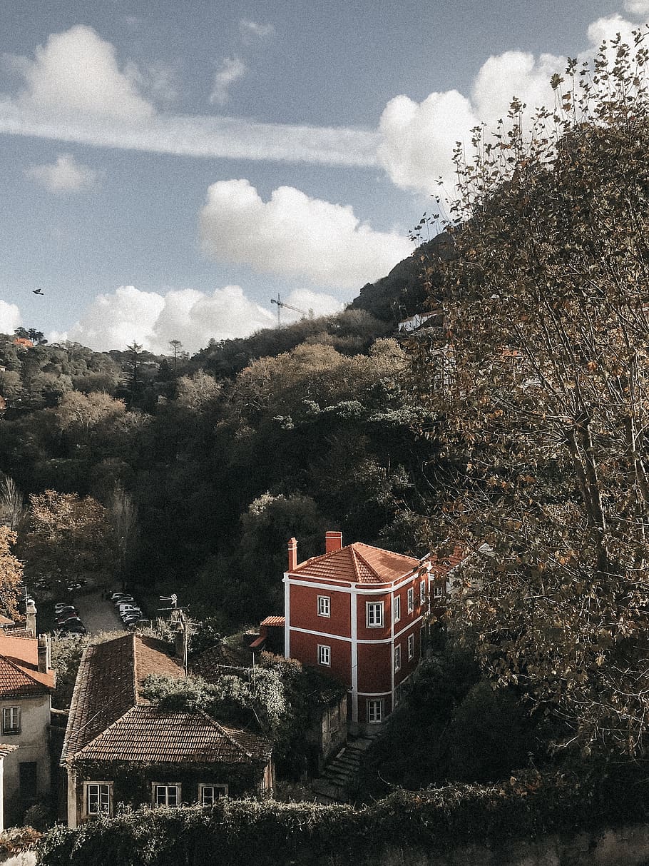 High Angle Photo of Houses Surrounded With Trees, architecture HD wallpaper