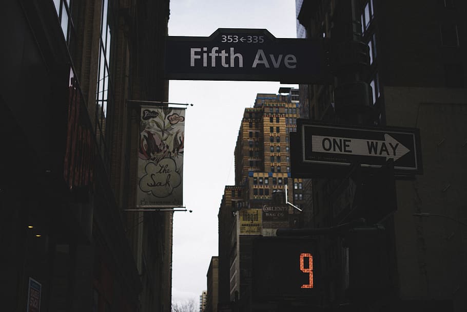 low-angle photography of road with Fifth Avenue board signage, HD wallpaper