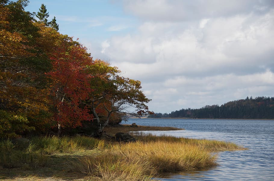 colors, landscape, fall, autumn, seascape, water, beauty in nature HD wallpaper