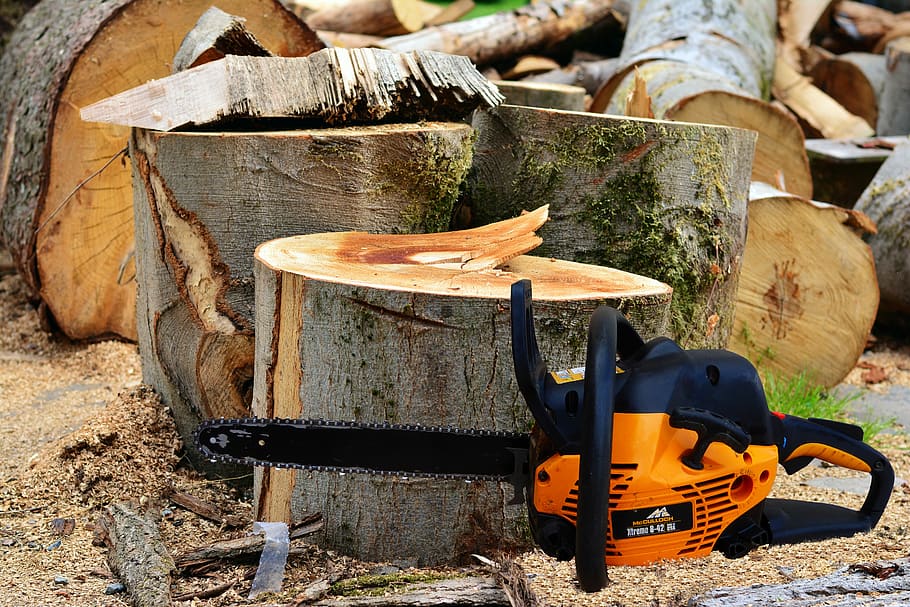 wood, trees, cuts, chainsaw, nature, forest, fall, heating HD wallpaper