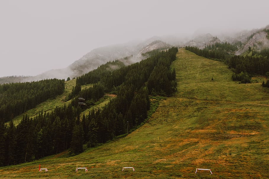mountain with green trees, nature, slope, outdoors, field, grassland HD wallpaper
