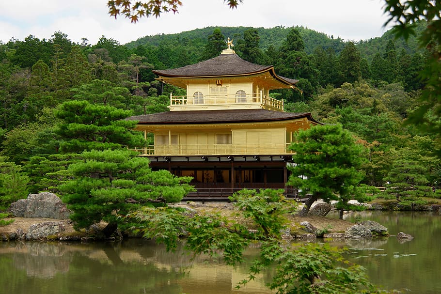 japan, kyoto, golden palace, shrine, temple, building, water