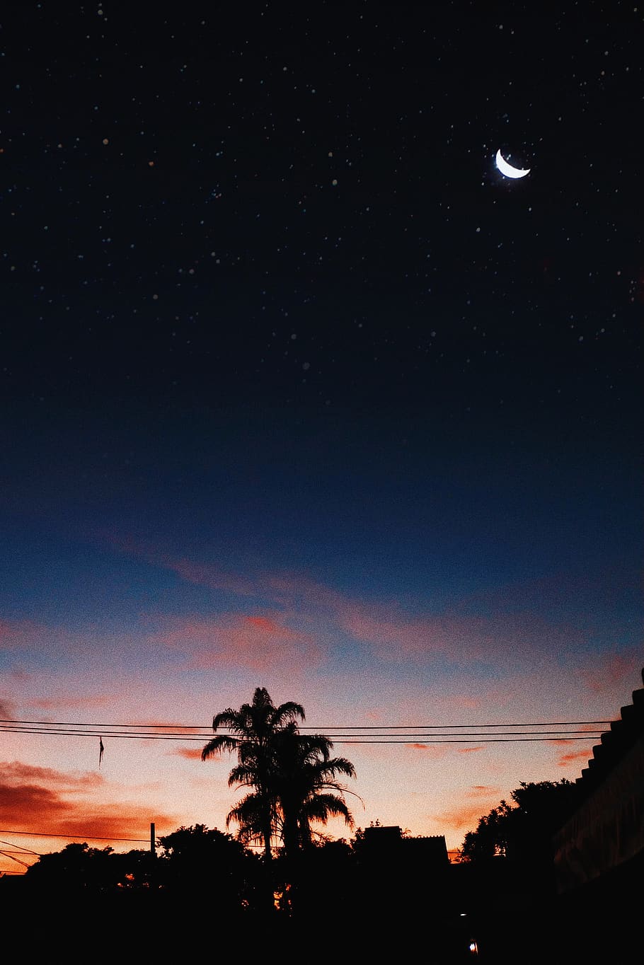 Silhouette of Trees Under Moon, astronomy, constellation, dark HD wallpaper