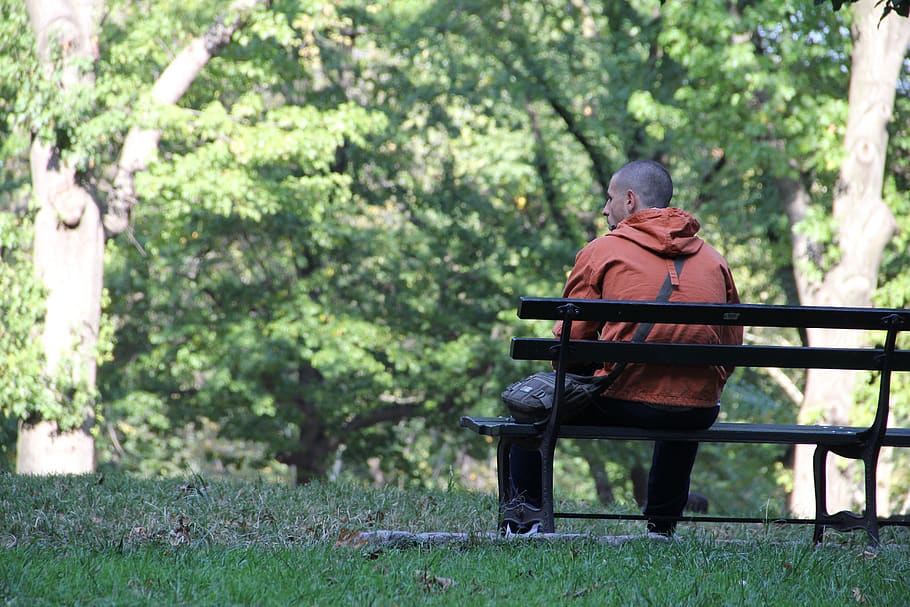 park, central park, bench, thinking, waiting, plant, sitting HD wallpaper