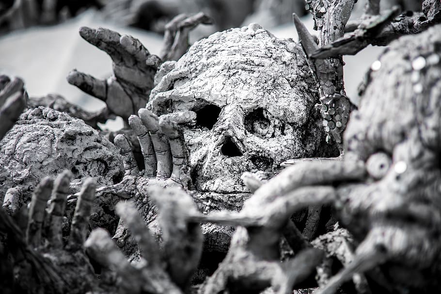 human skull decors, selective focus, close-up, no people, bone HD wallpaper