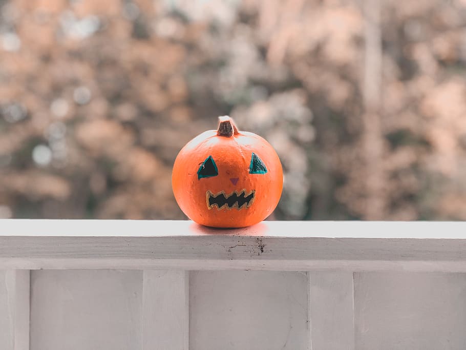 orange pumpkin, orange color, food, food and drink, celebration HD wallpaper