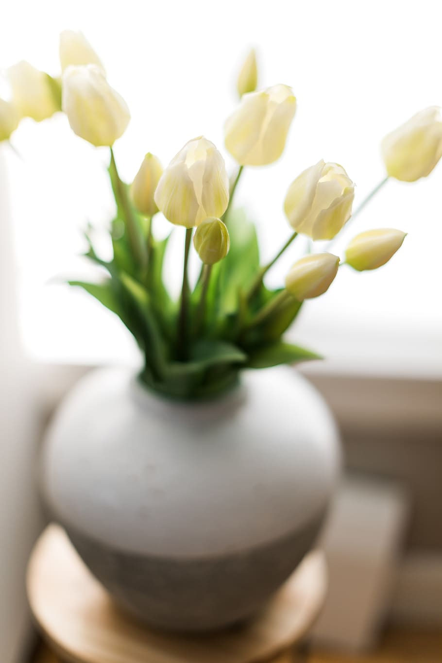 easter, plant, decor, tulip, tulips, easter flowers, indoor plant HD wallpaper