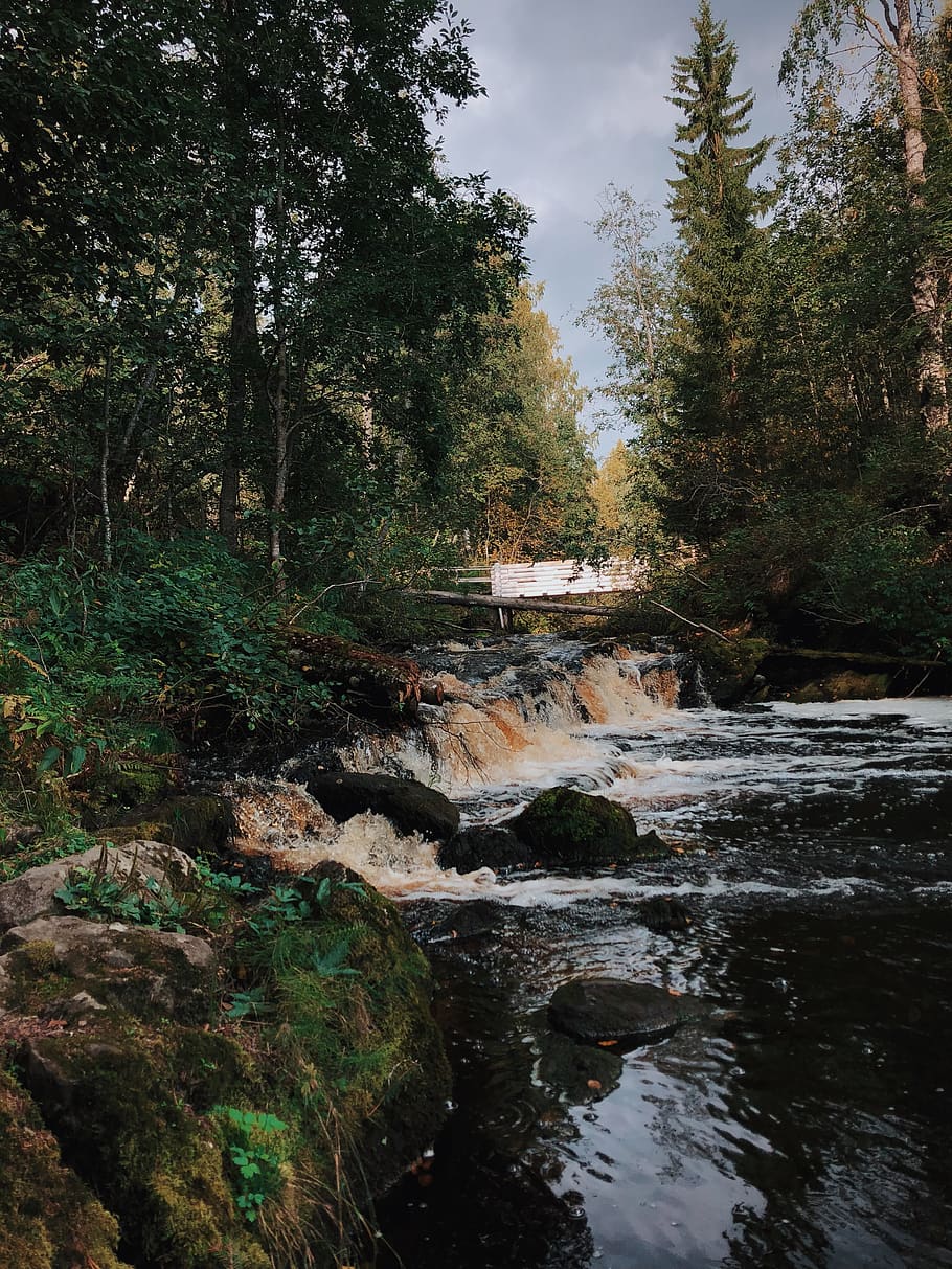 Time Lapse Photography of Flowing River Near Trees, daylight HD wallpaper