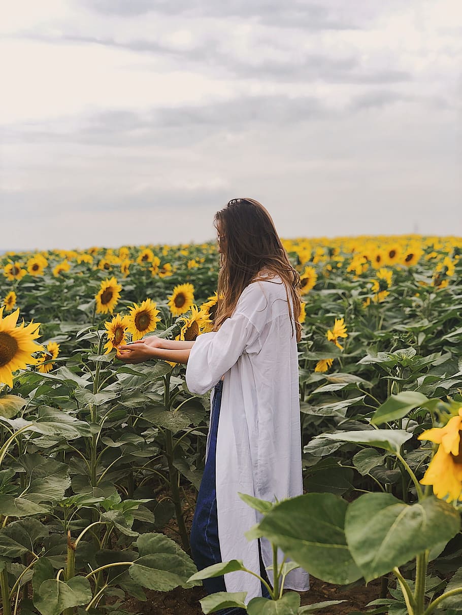 woman, sunflower, field, quirky, weird, pyjamas, white, dressing, HD wallpaper