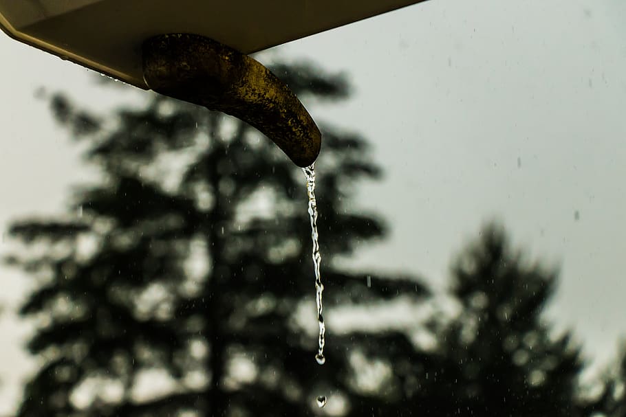 water, rain, drip, nature, weather, rainy, cloudburst, wet HD wallpaper