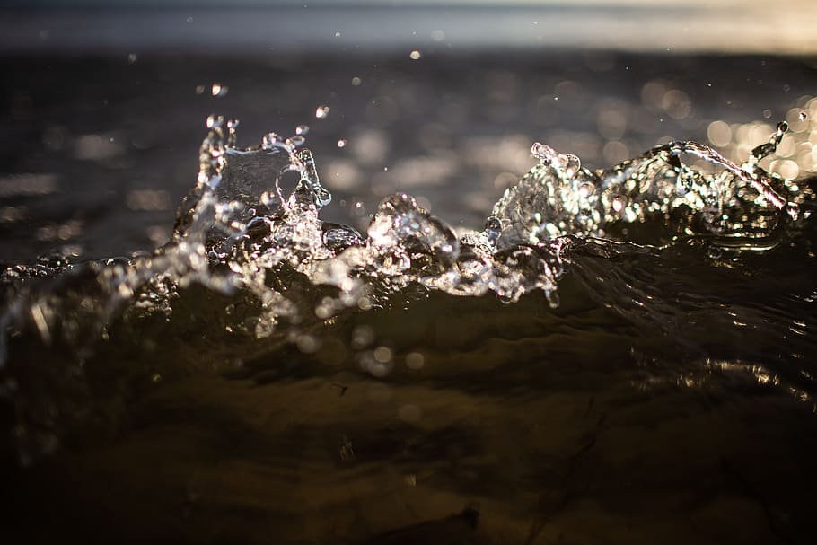 water splash, selective focus, splashing, motion, no people, close-up HD wallpaper