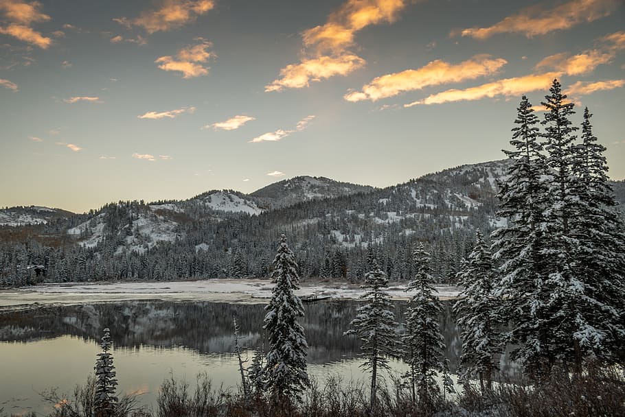 Scenic View Of Lake, 4k wallpaper, clouds, cold, conifers, environment HD wallpaper