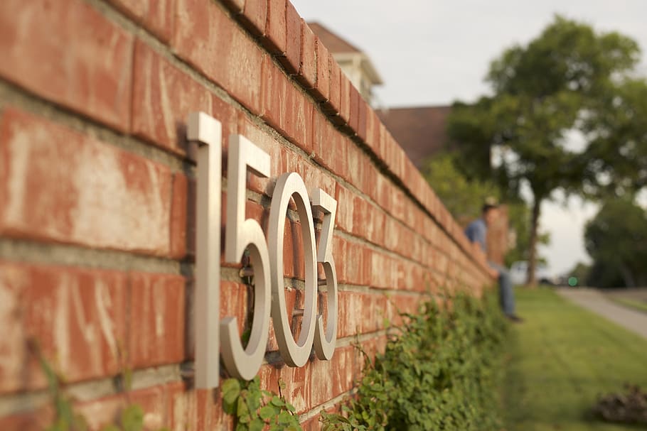 brick, wall, person, human, waco, washington ave, usa, ivy HD wallpaper