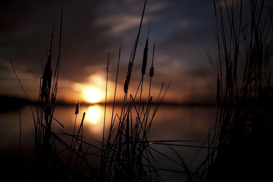 nature, sunset, grass, green, clouds, sky, landscape, water HD wallpaper
