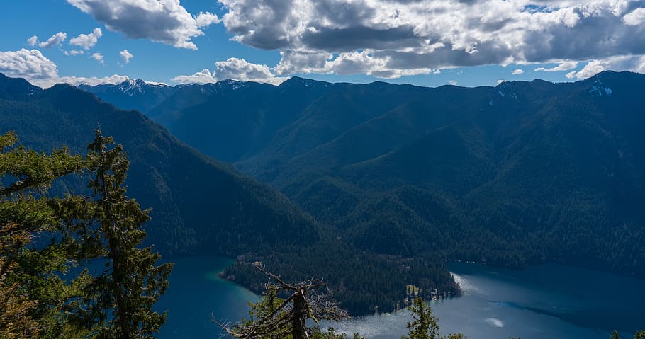 nature, tree, plant, mountain, outdoors, mountain range, abies HD wallpaper