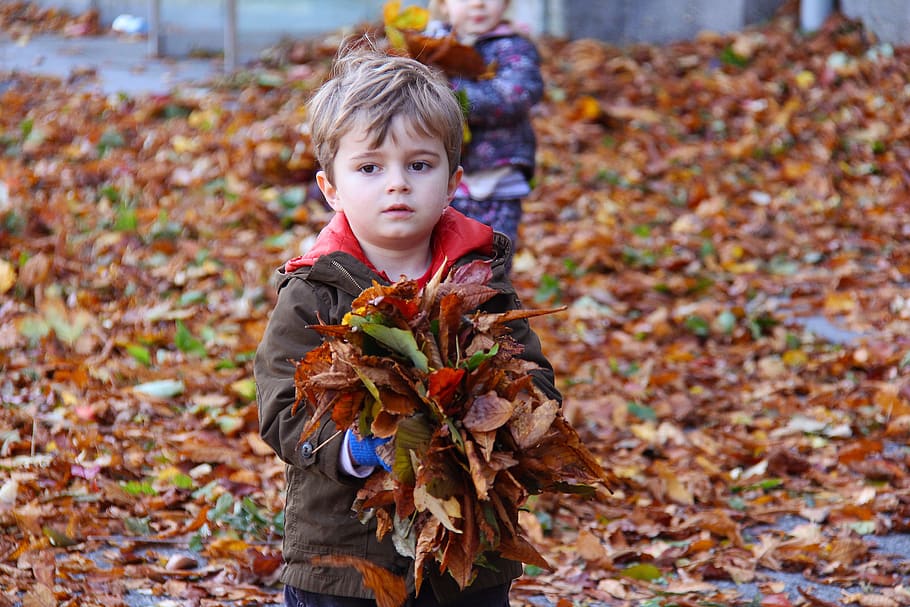 child, playing, fall, happy, fun, boy, little, nature, cute HD wallpaper