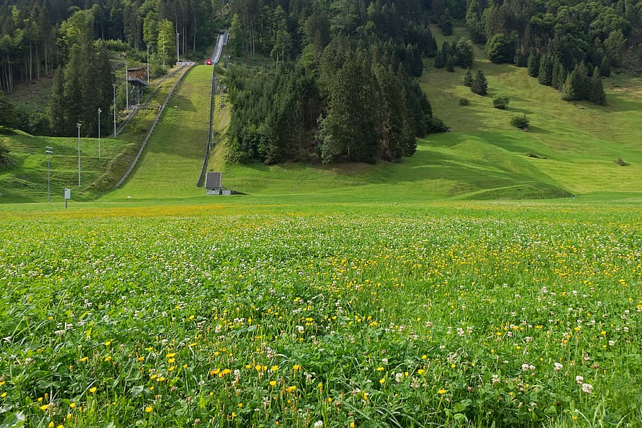 ski jump, hill, ski jumping, engelberg, plant, green color