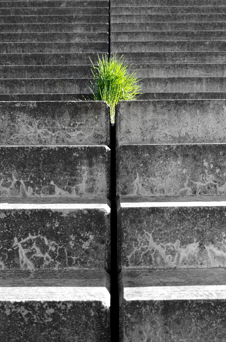 hope, force, live, breakthrough, plant, stairs, gradually, growth HD wallpaper
