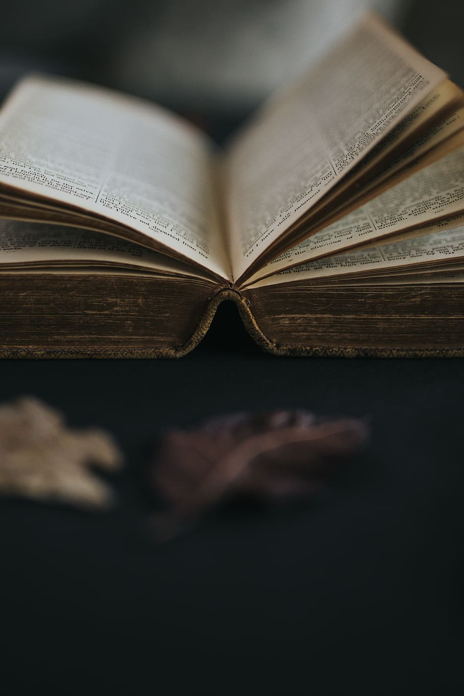 opened book, publication, education, page, literature, close-up HD wallpaper