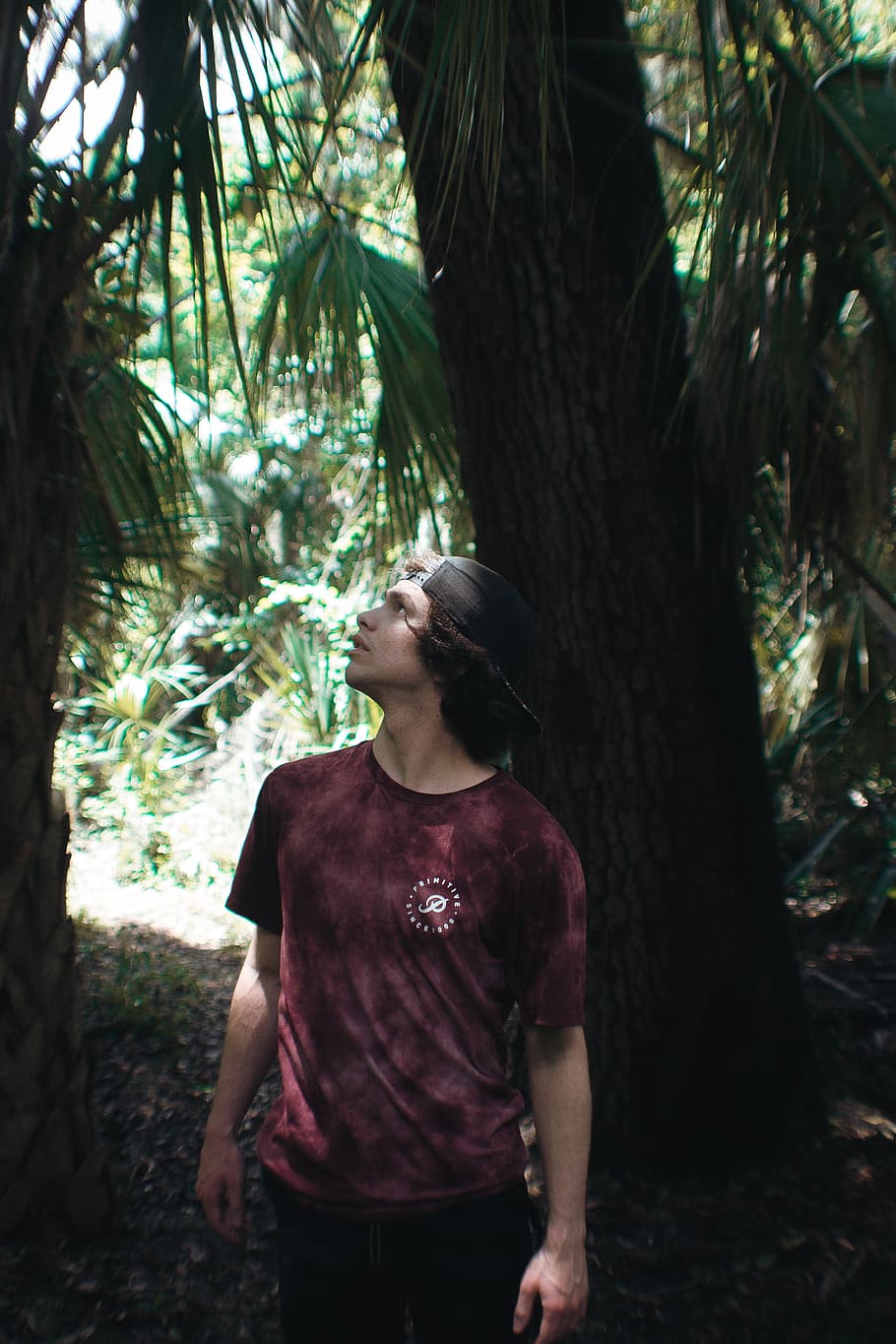 man looking up, apparel, clothing, human, person, sleeve, tree HD wallpaper