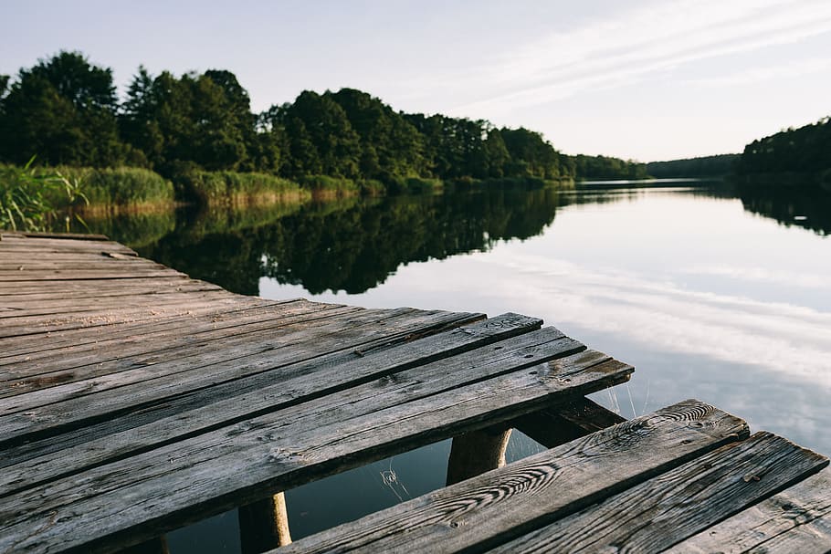 Reading book at lake, summer, resting, relaxing, time, evening HD wallpaper