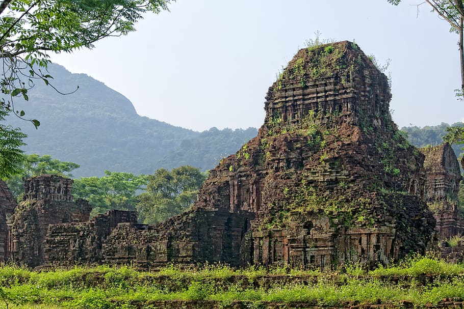 vietnam, my son jungle temples and sanctuary, ruins, mountain, HD wallpaper