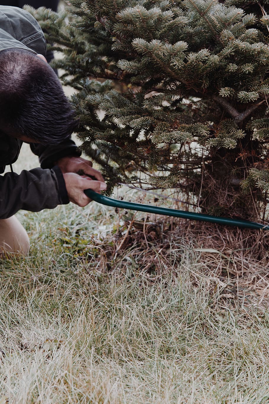 man using saw cutting tree during daytime, person, human, plant HD wallpaper