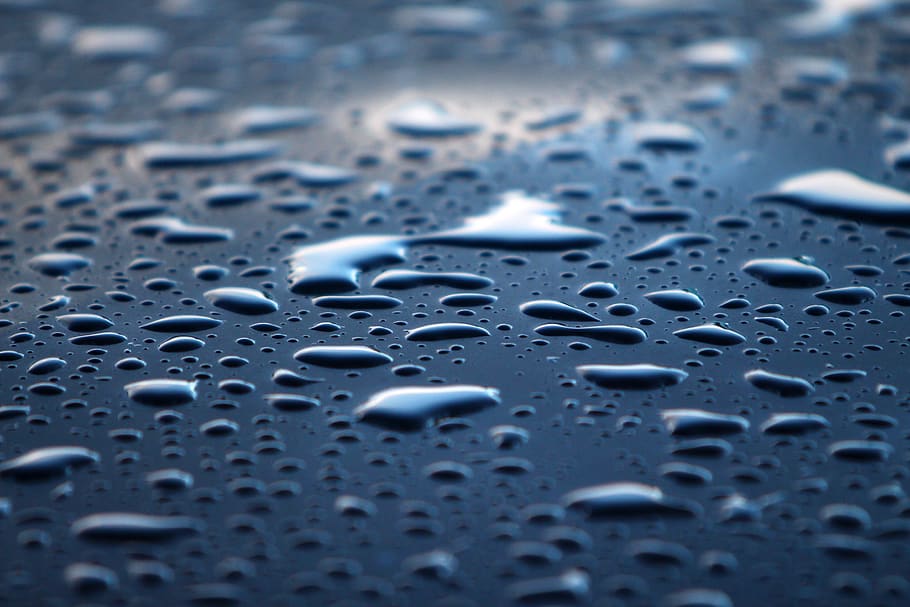 water, rain, drip, drop, wet, close-up, no people, selective focus HD wallpaper