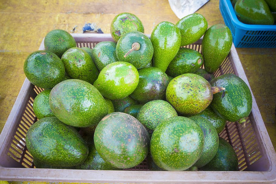Rectangular Purple Plastic Basket Full of Green Avocado Fruits HD wallpaper