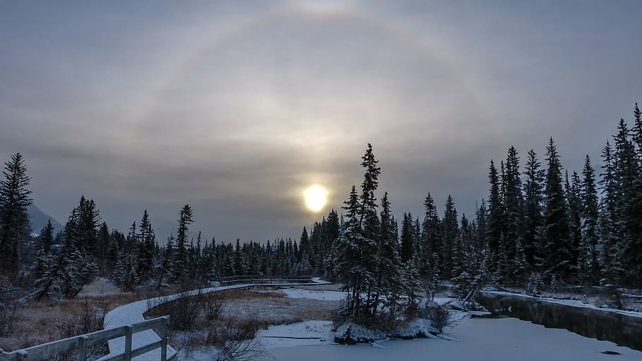 canada, canmore, winter, ice, snow, snowy, trees, creek, bridge HD wallpaper