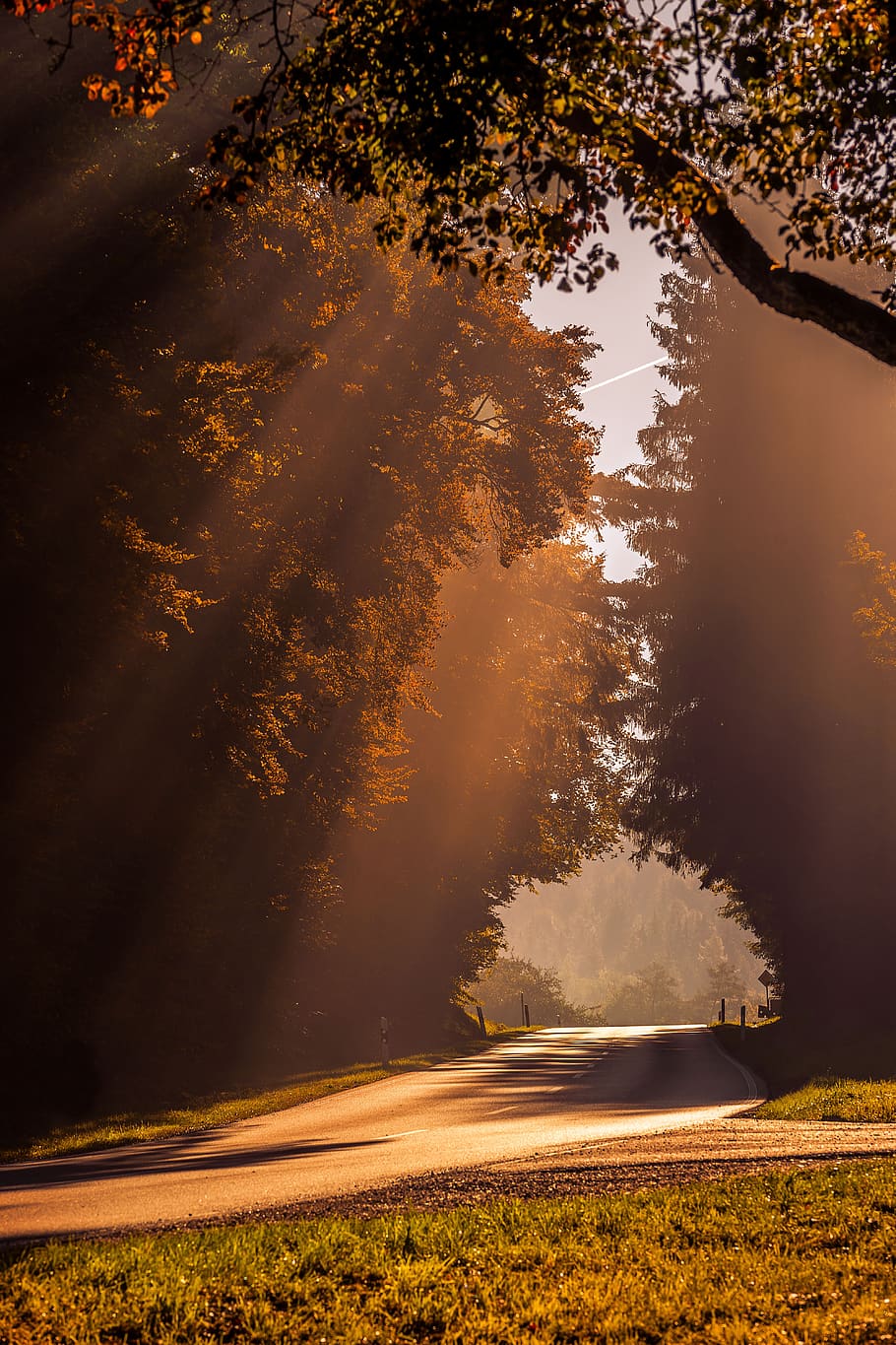 autumn, sunbeam, road, backlighting, autumn colours, nature HD wallpaper