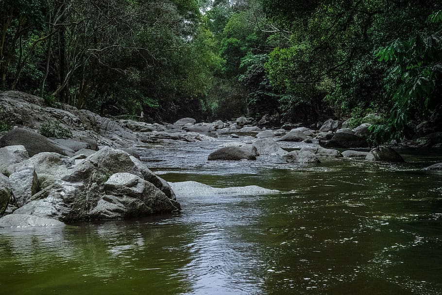 nature, water, river, stream, rocks, surface, ripples, bubbles HD wallpaper