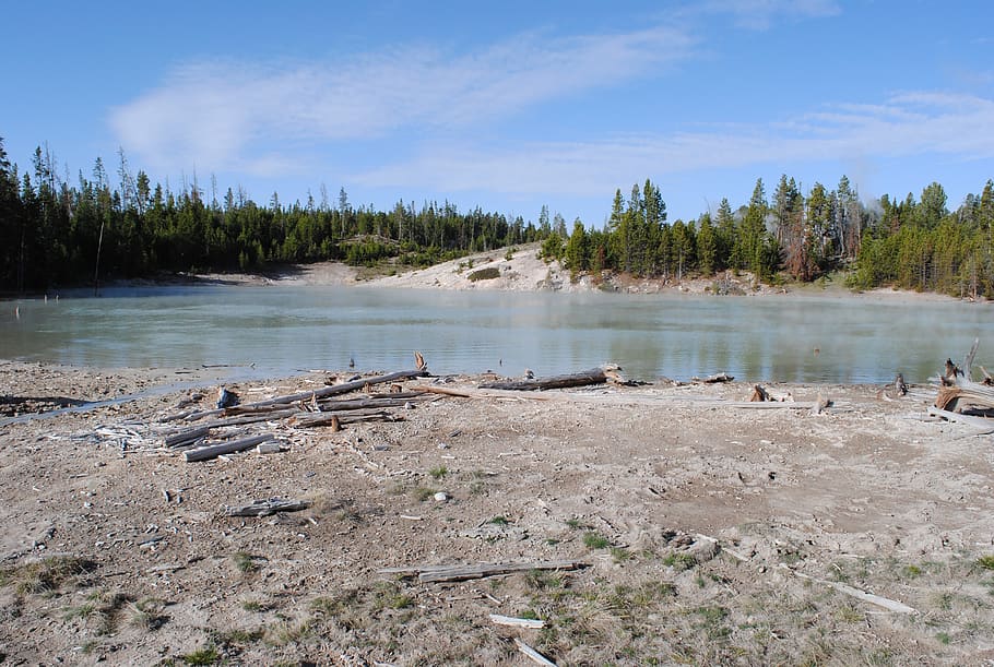 hot spring, yellowstone, landscape, water, tree, plant, tranquil scene HD wallpaper