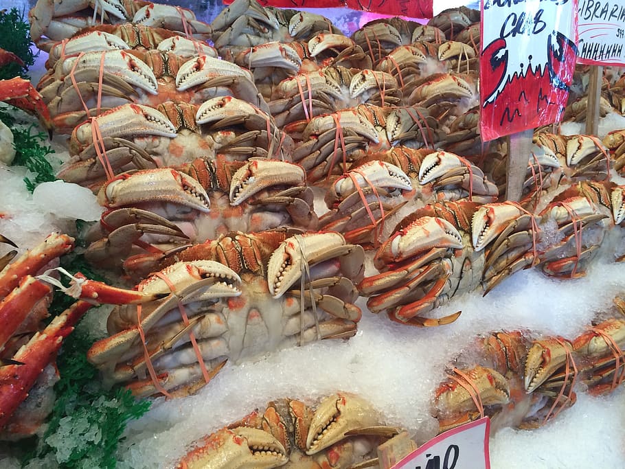 orange crabs, for sale, retail, market, seafood, freshness, abundance HD wallpaper