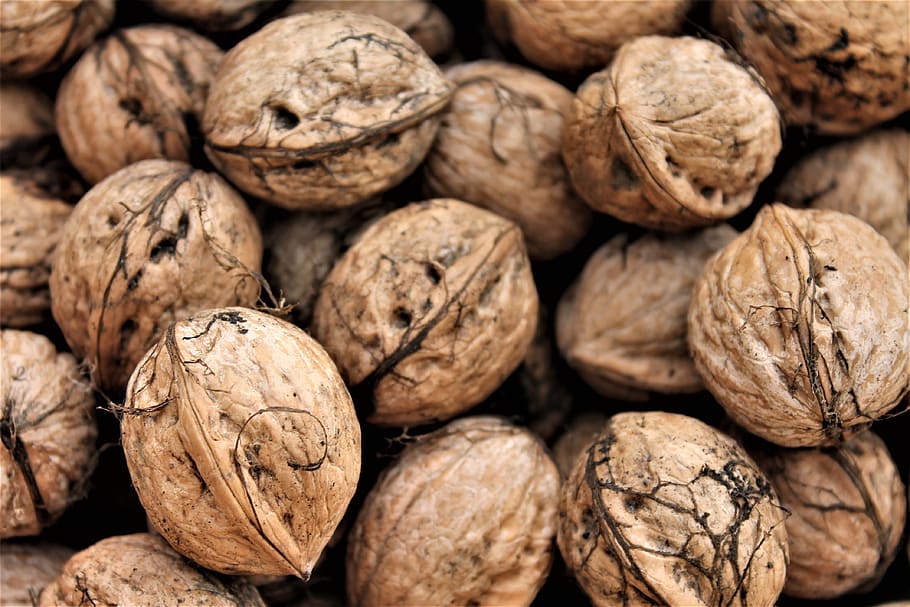 walnuts, shell, autumn, brown, food and drink, large group of objects HD wallpaper