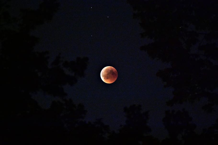 night, moon, sky, astronomy, space, full moon, beauty in nature HD wallpaper