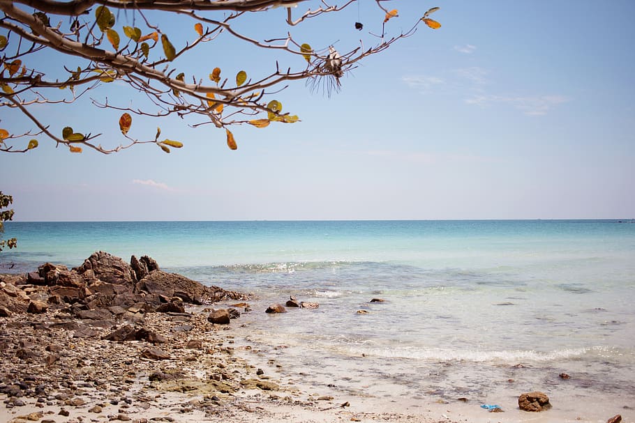 shore during daytime, water, shoreline, ocean, outdoors, sea HD wallpaper