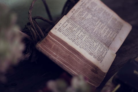 book, bible, scripture, religion, religious, open bible, faith HD wallpaper